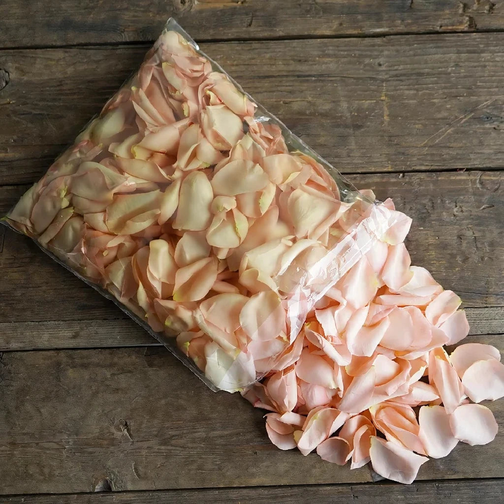 Salmon Rose Petals - alternative 1