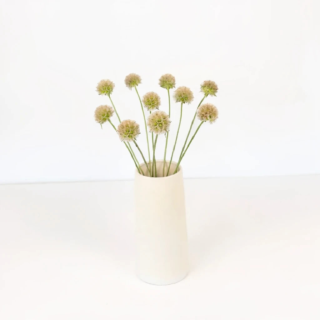 Iris Pods Pods - alternative 2