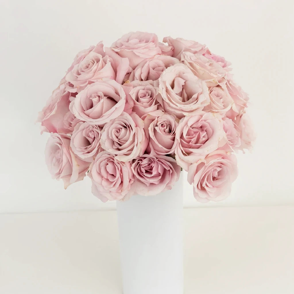 Secret Garden Roses Standard - alternative 1