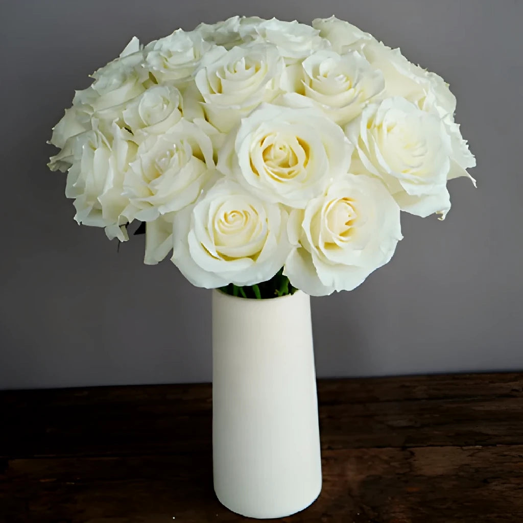 Snow Bliss Roses Standard - main