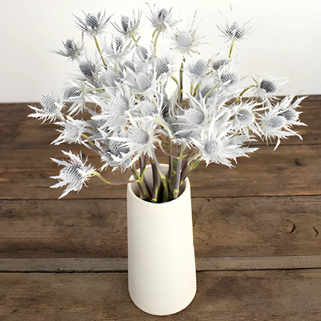 Tinted White Thistle - alternative 1