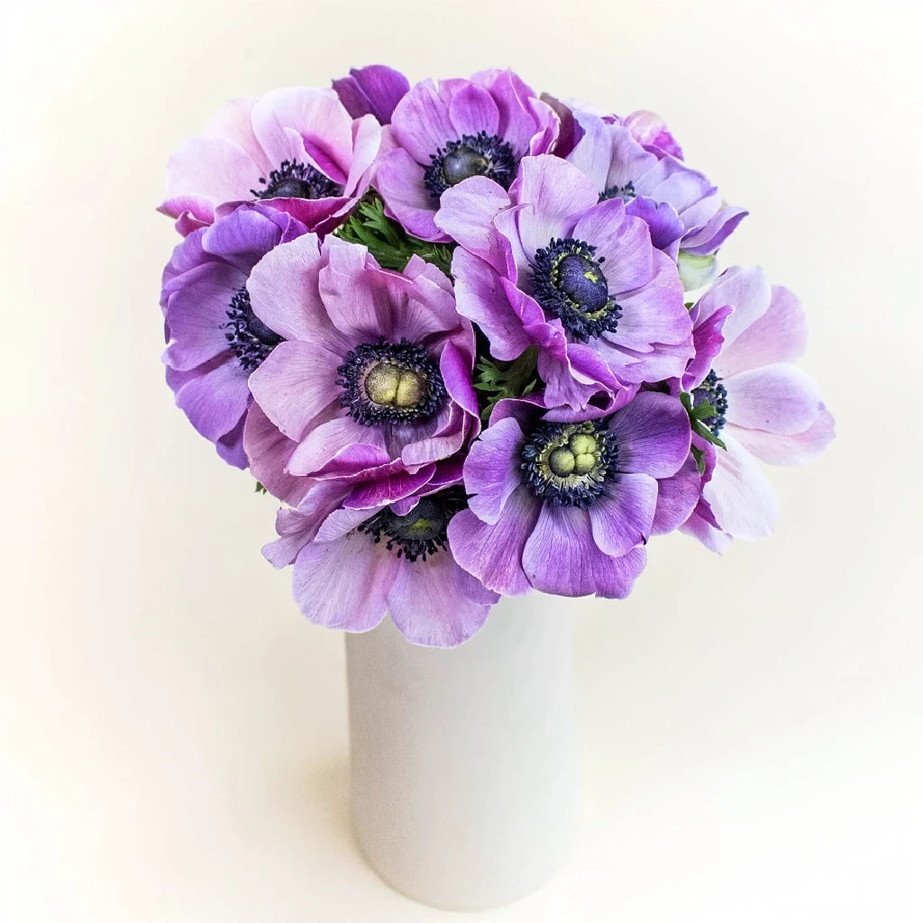 Lavender Anemones - alternative 3
