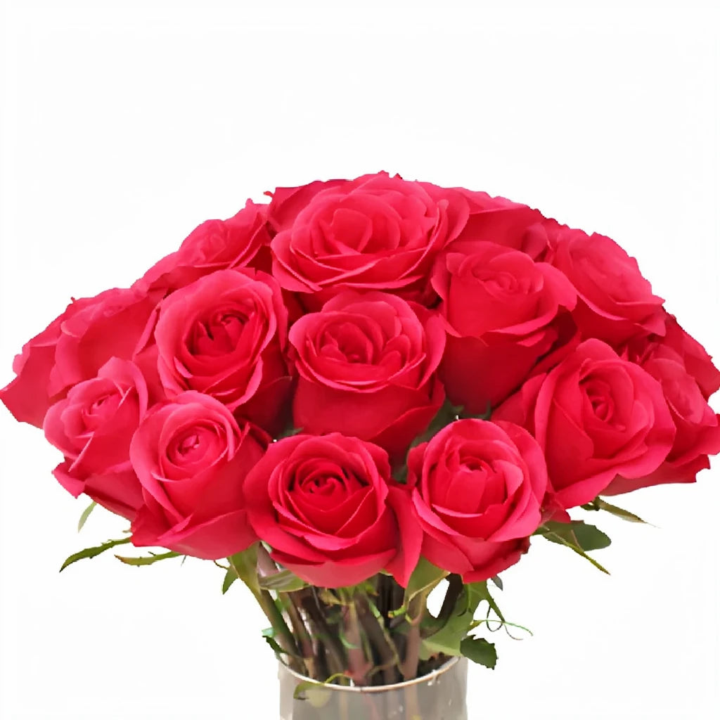 Solitaire Roses Standard - alternative 3