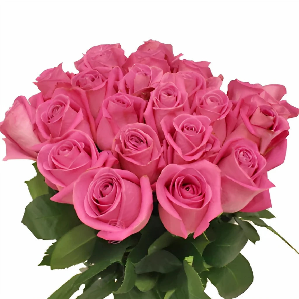 Soul Mate Roses Standard - main