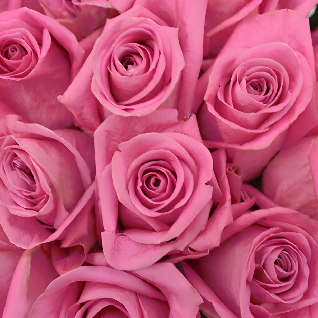 Soul Mate Roses Standard - alternative 2