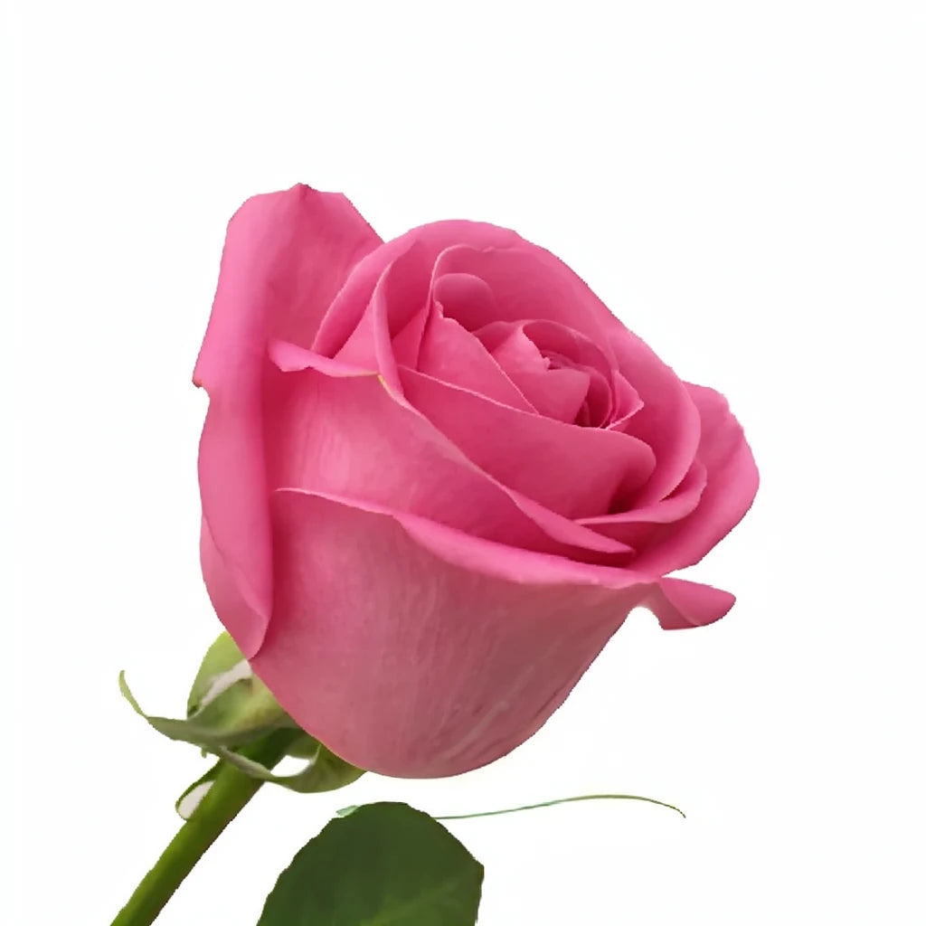 Soul Mate Roses Standard - alternative 3