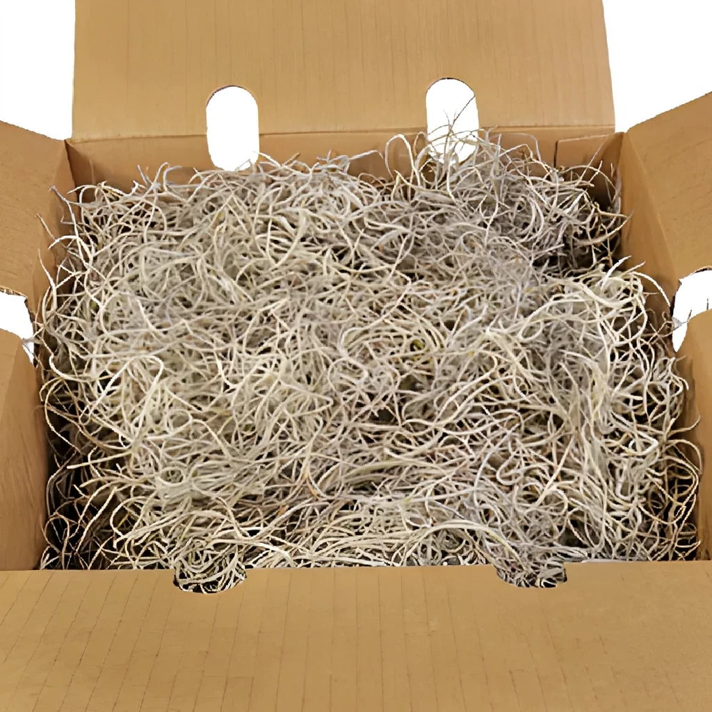 Spanish Moss Greenery - alternative 1