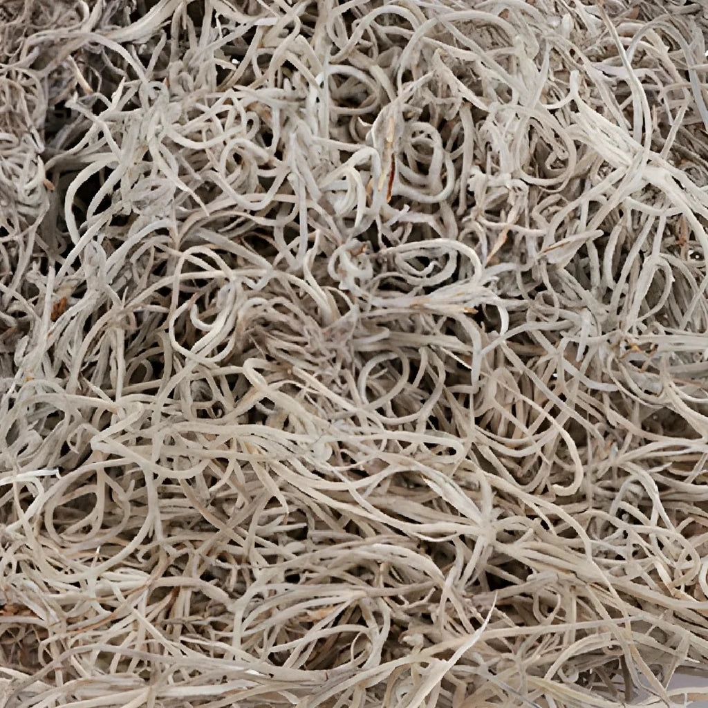 Spanish Moss Greenery - main