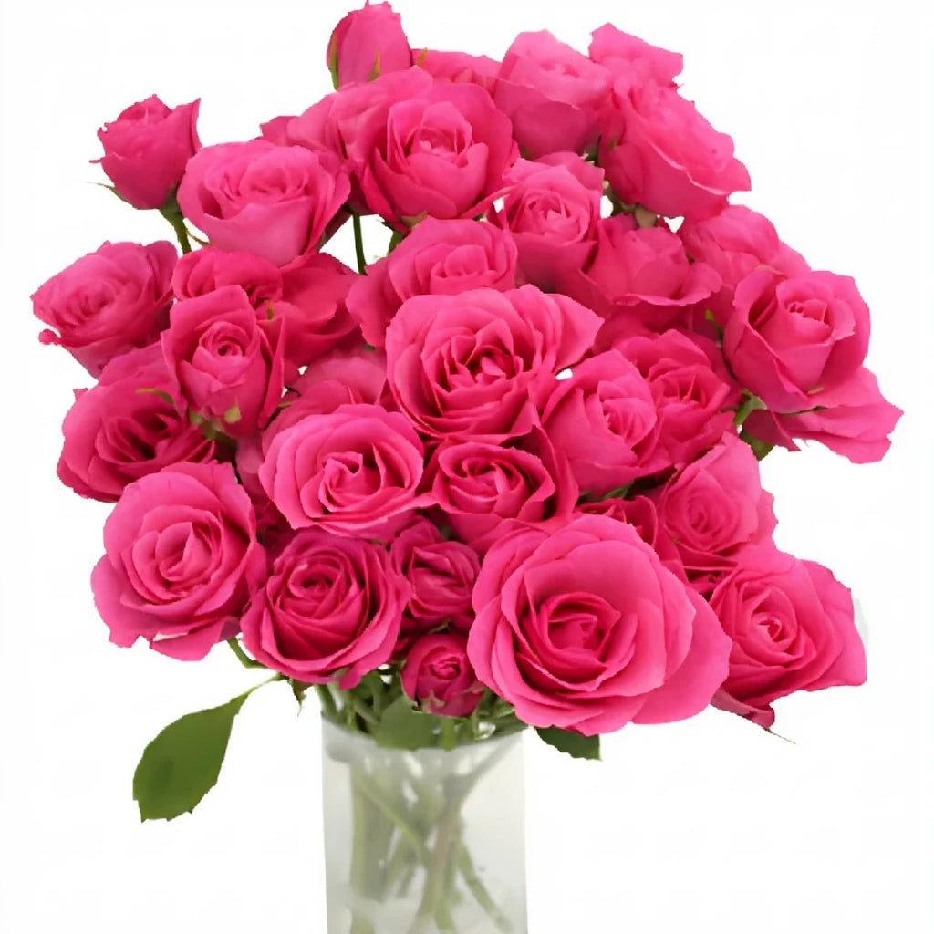 Pink Roses Spray - alternative 3