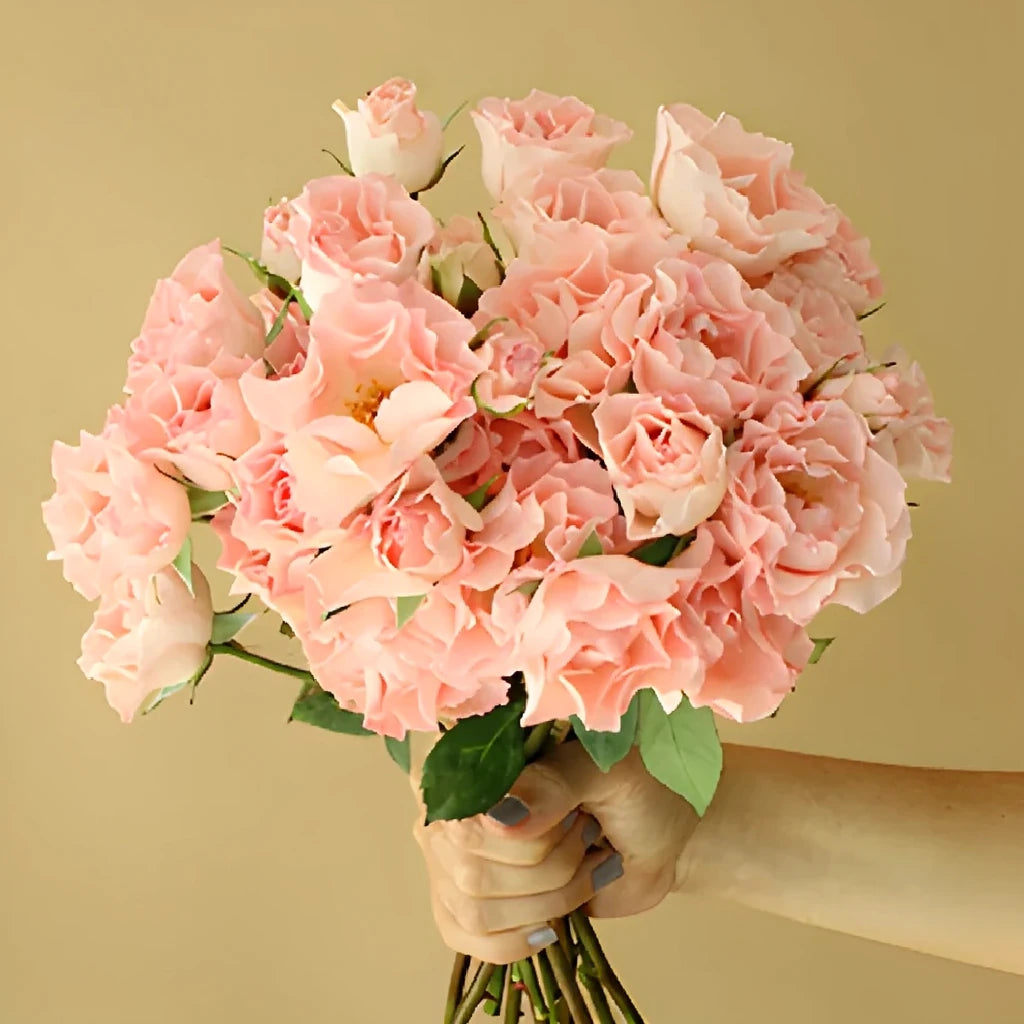 Constellation Roses Spray - alternative 4