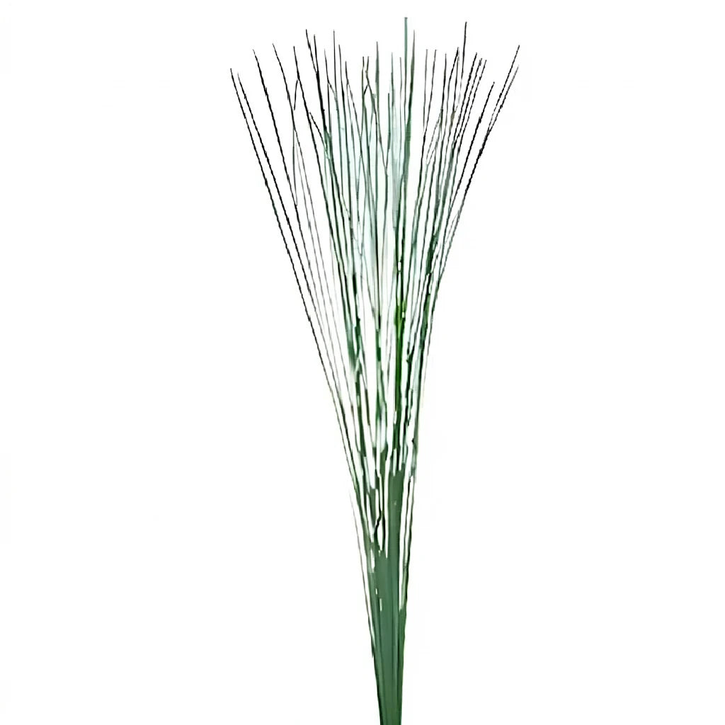Steel Grass Greenery - alternative 2