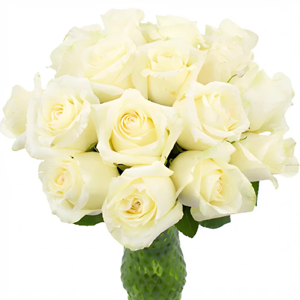 Sublime Roses Standard - main