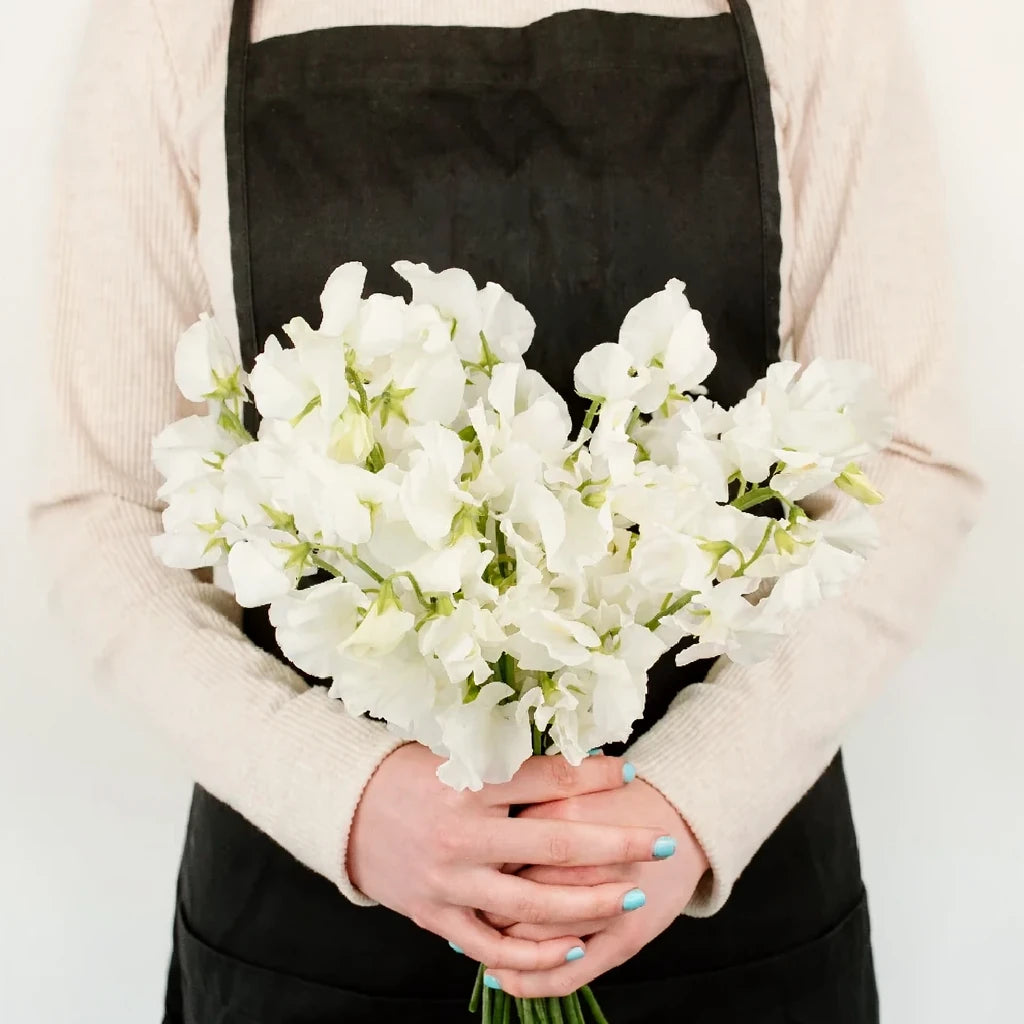 White Sweet Peas - alternative 2
