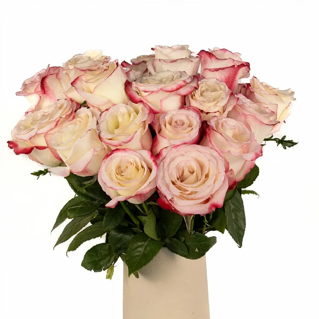 Sweetness Roses Standard - alternative 1