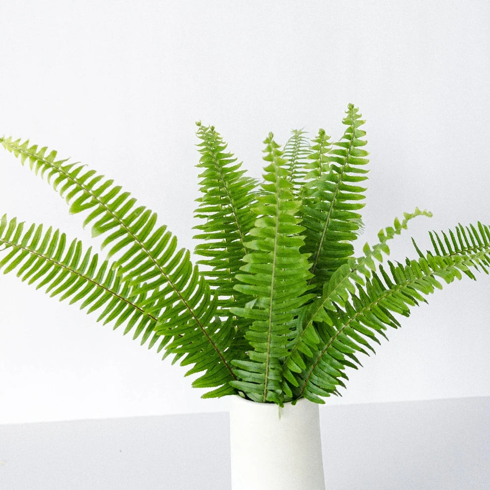 Sword Fern Greenery - alternative 1