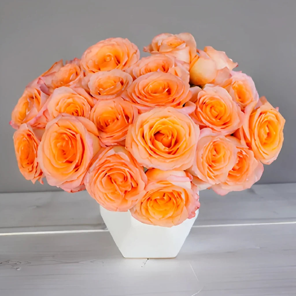 Coral Reef Roses Standard - alternative 3