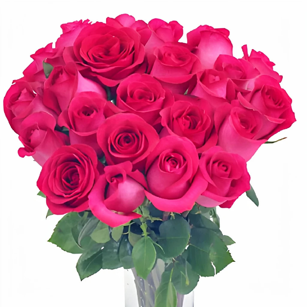 Tenerife Roses Standard - alternative 1