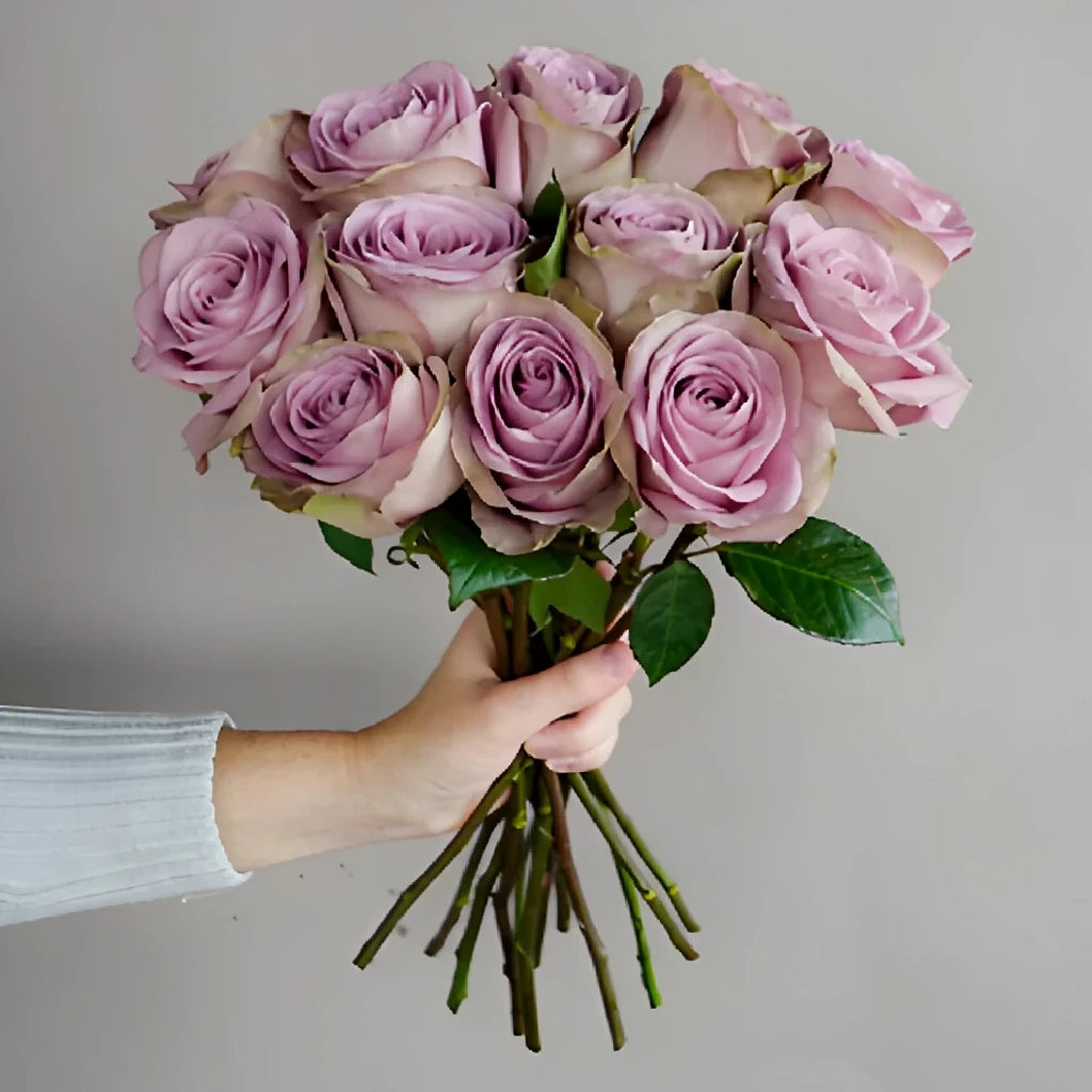 Tiara Roses Standard - alternative 1