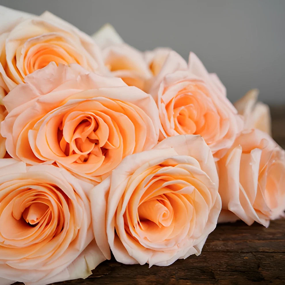 Tiffany Roses Standard - alternative 1