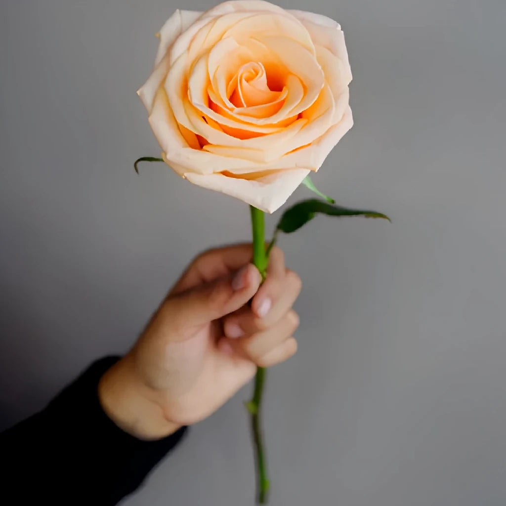 Tiffany Roses Standard - alternative 4