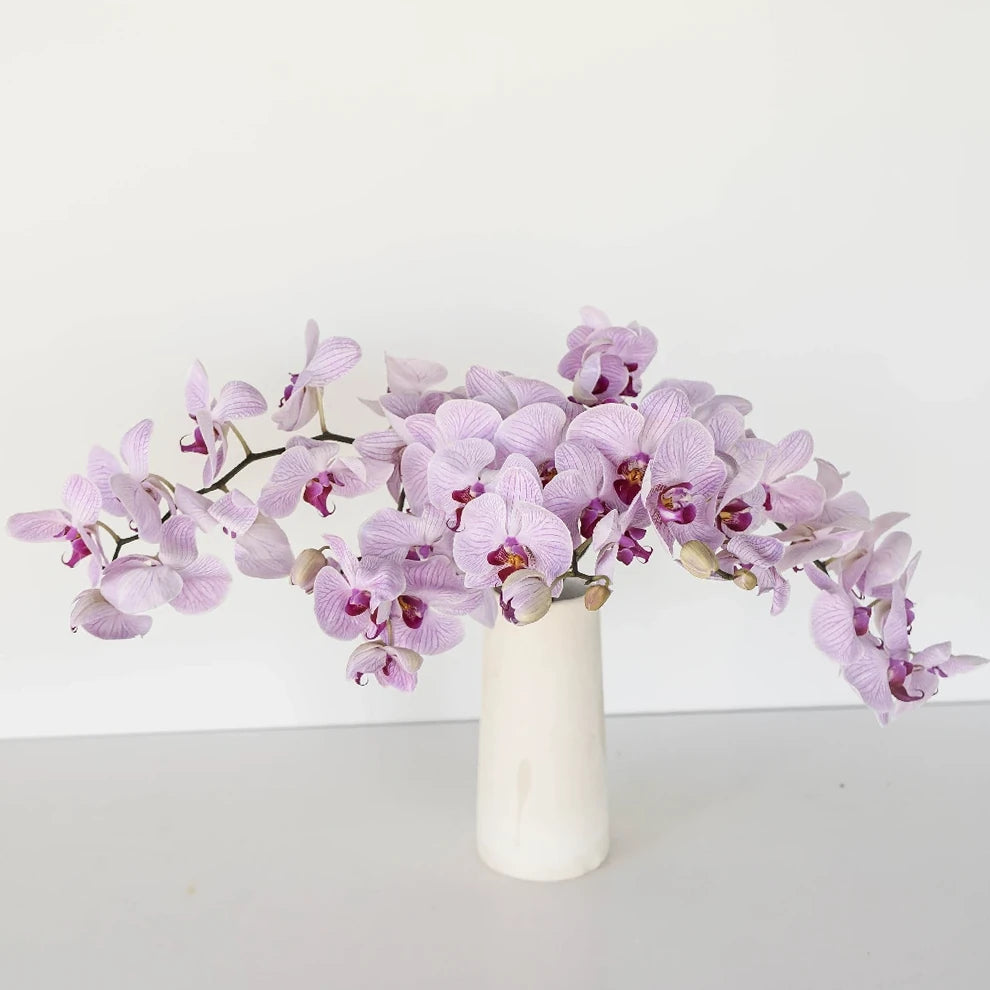 Tiger Striped Orchids Phalaenopsis - main