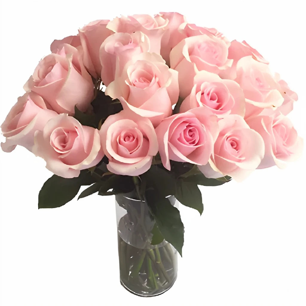 Titanic Roses Standard - alternative 2