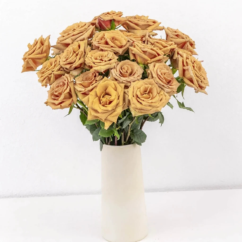 Toffee Roses Standard - alternative 1