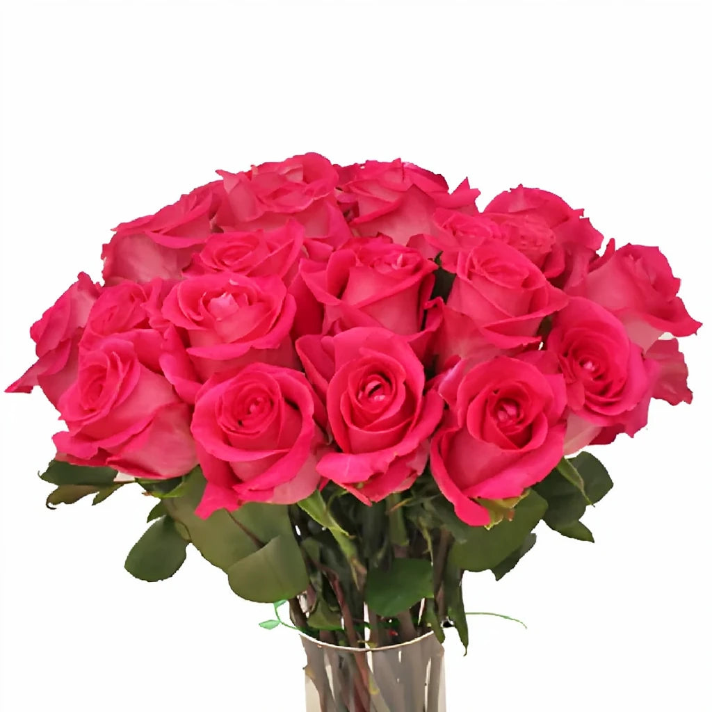Topaz Roses Standard - alternative 1