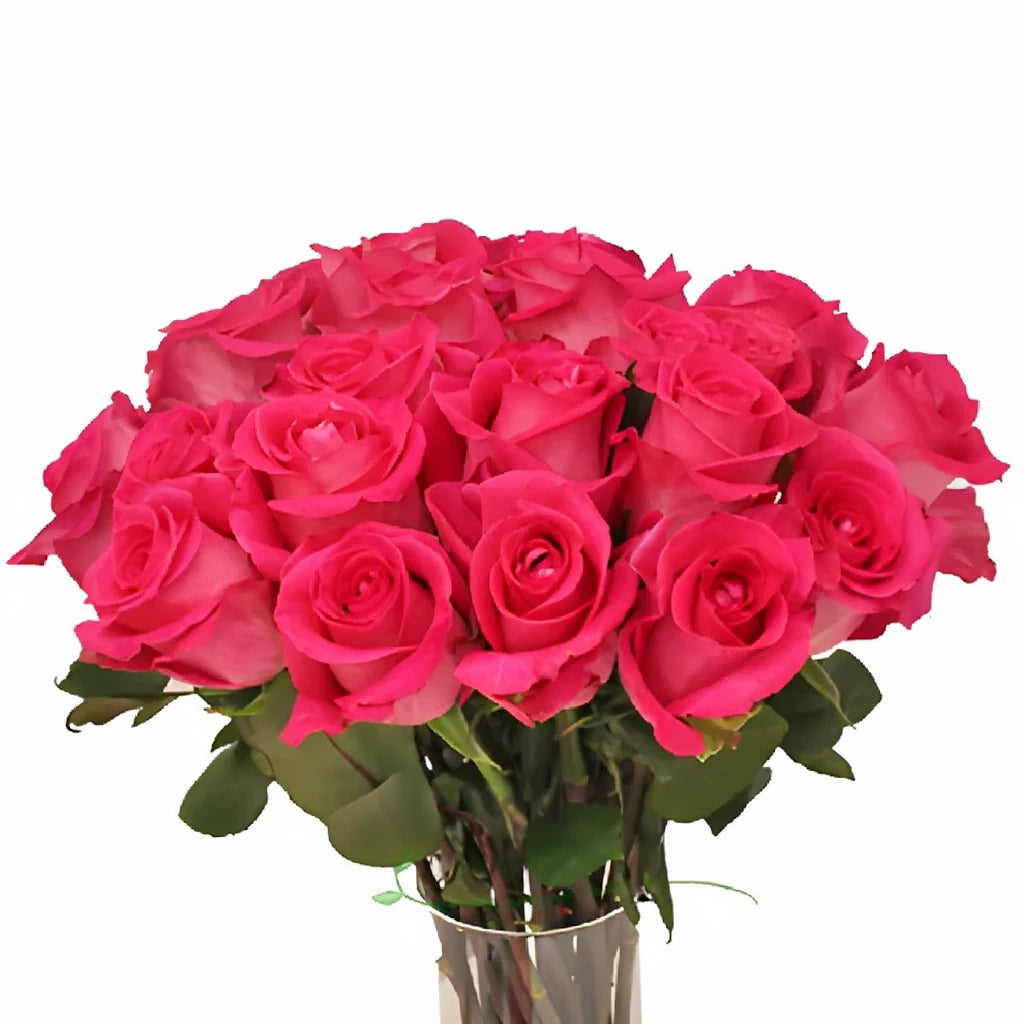 Wild Topaz Roses Standard - alternative 3