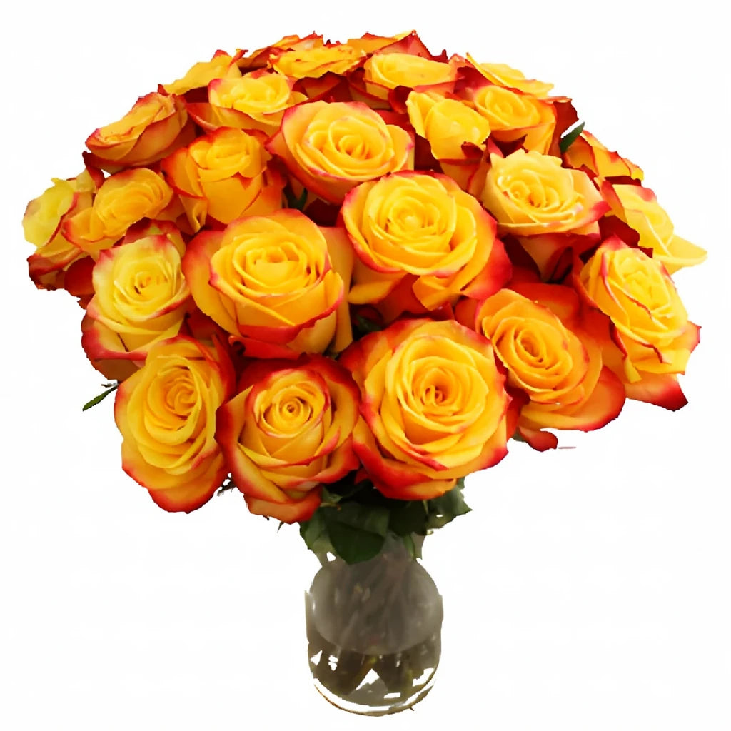 Tutti Frutti Roses Standard - alternative 1