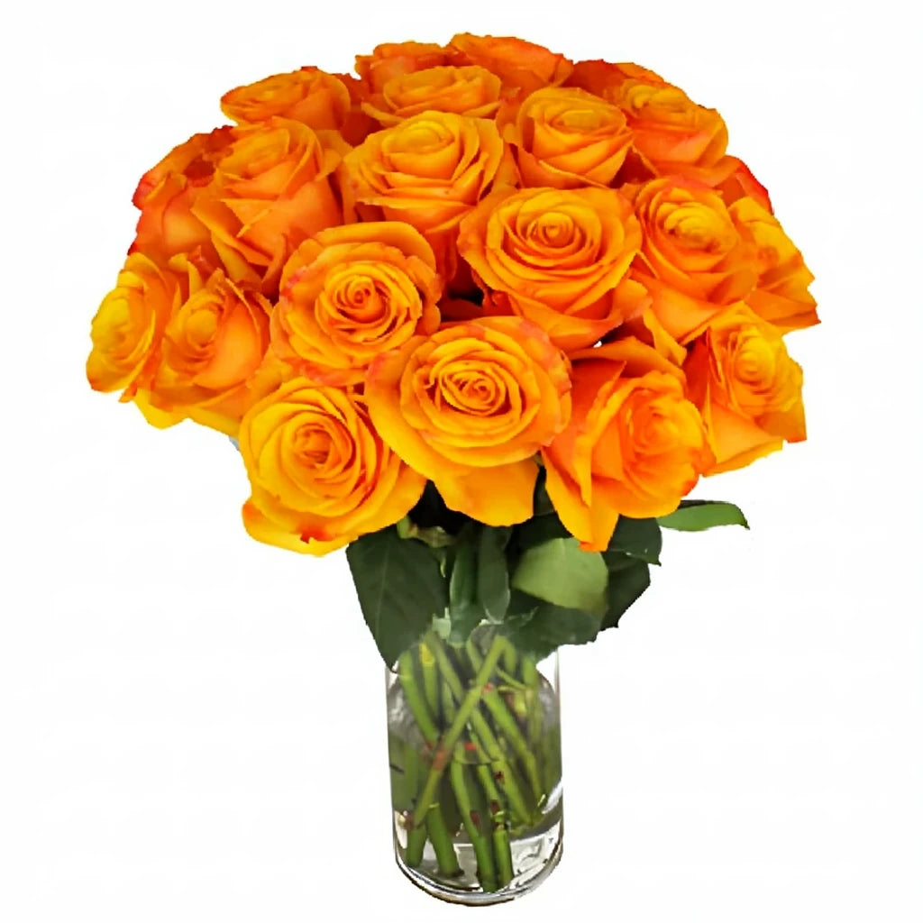 Tycoon Roses Standard - alternative 1