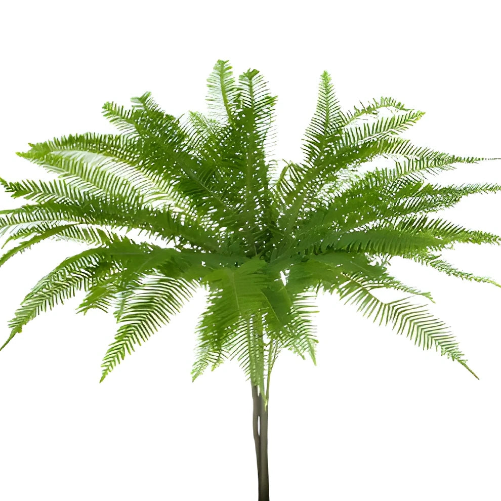 Umbrella Fern Greenery - alternative 3