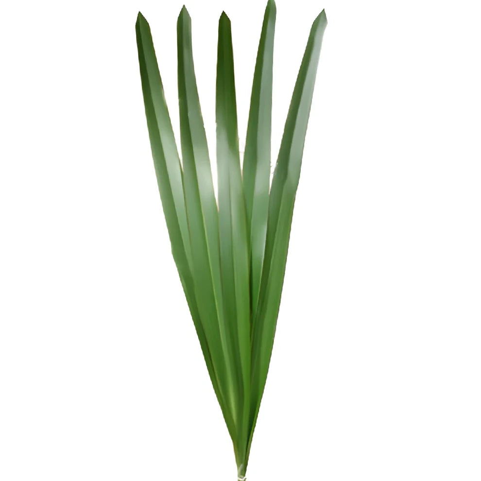 Flax Green Greenery - main