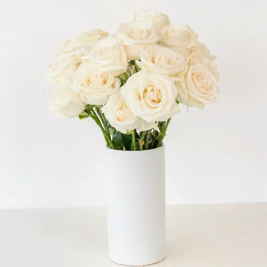 Vendela Roses Standard - alternative 2