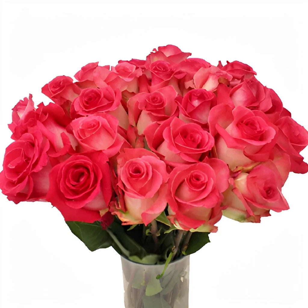 Verdi Roses Standard - alternative 3