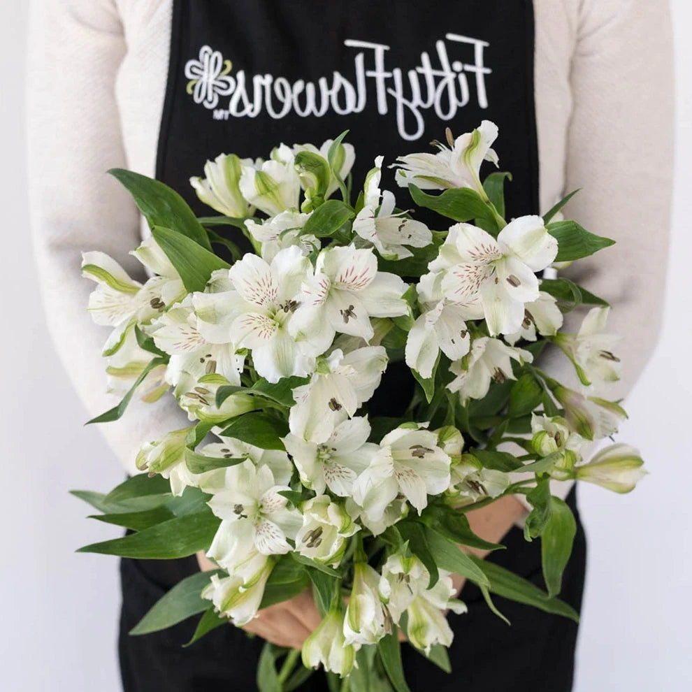 White Alstroemeria - alternative 2