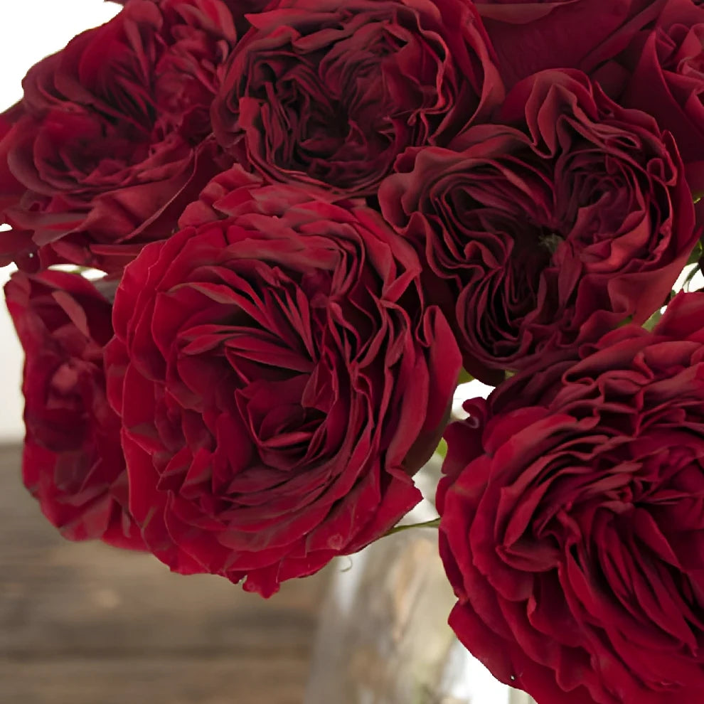 Mayra's Red Roses Garden - alternative 3