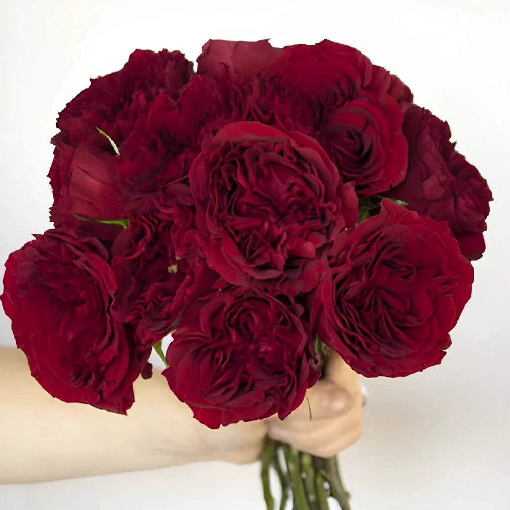 Mayra's Red Roses Garden - alternative 2