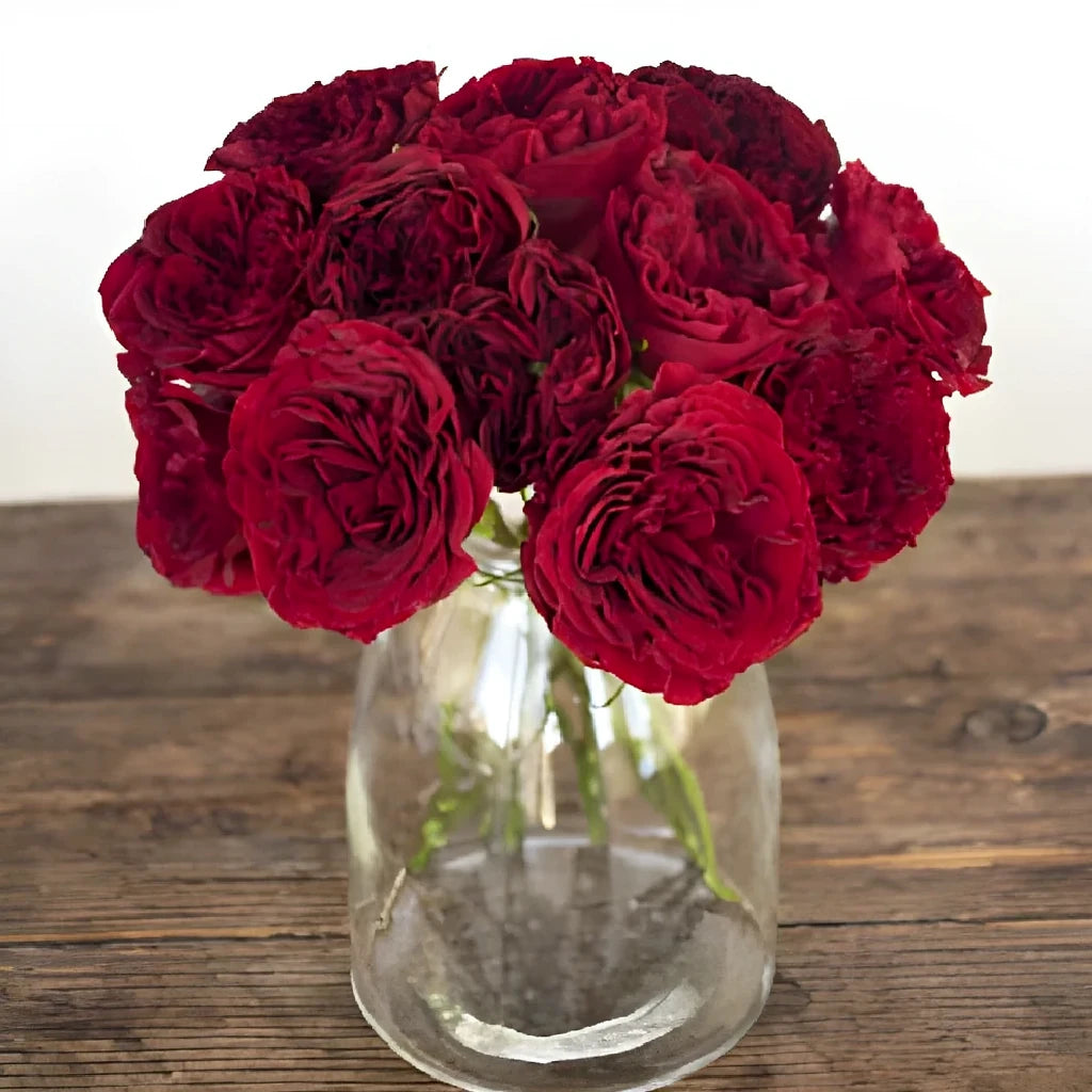 Mayra's Red Roses Garden - alternative 1