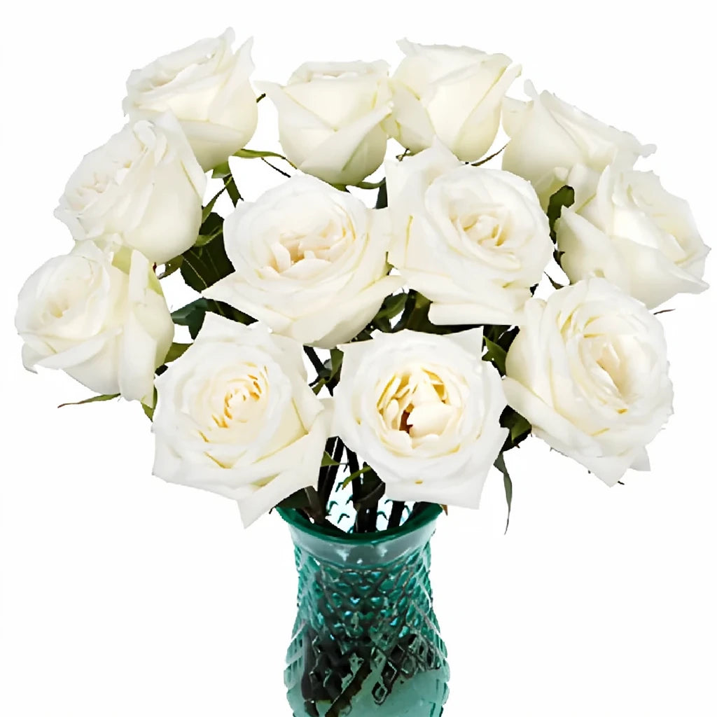 White Roses Standard - alternative 1