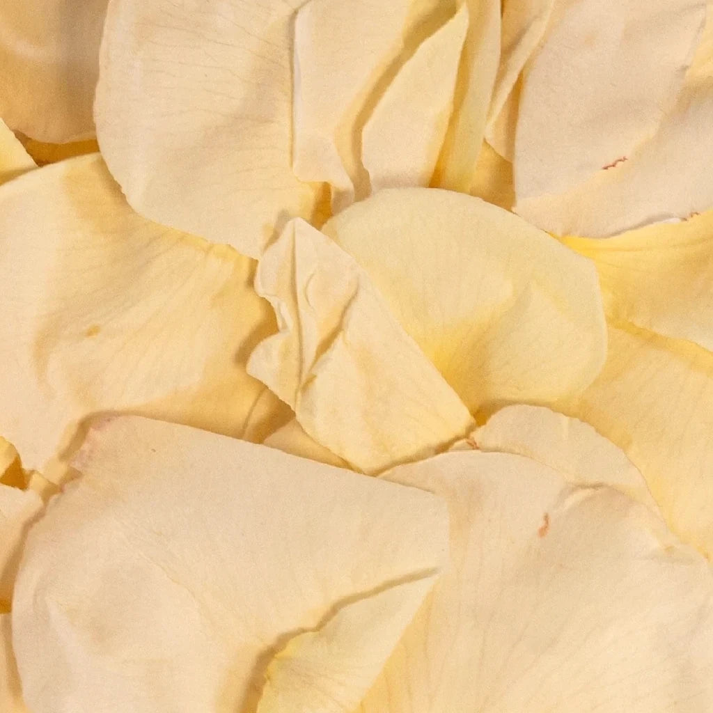Freeze Dried White Rose Petals - main