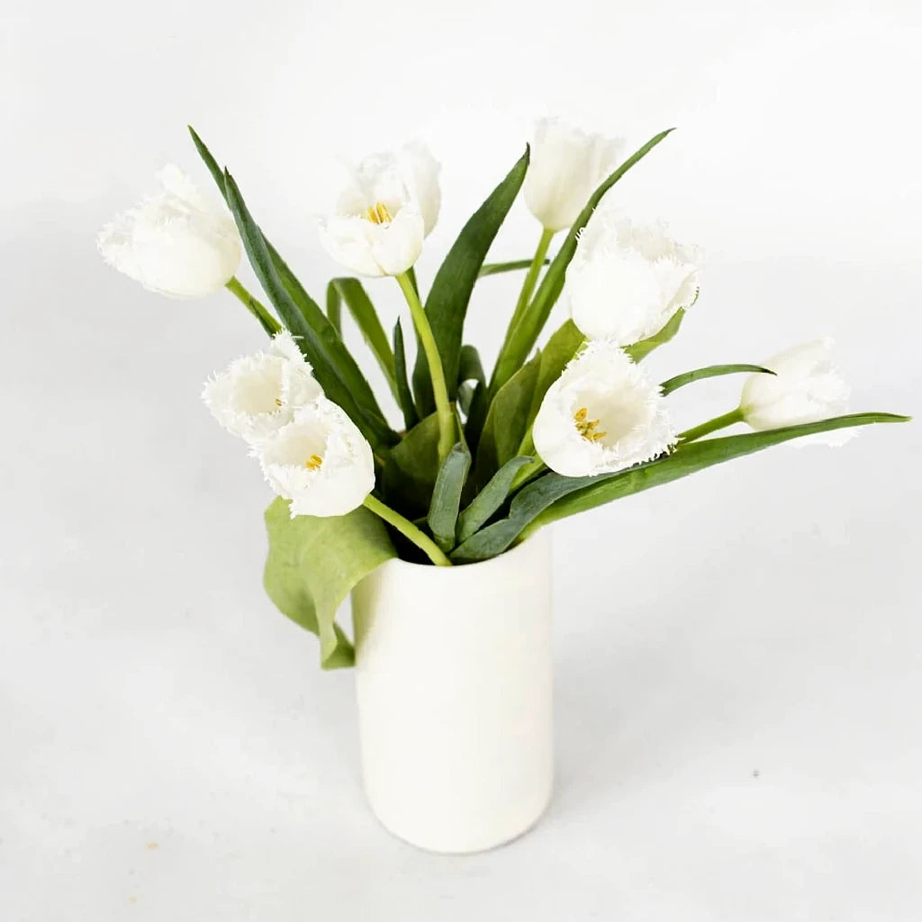 White Tulips Fringed - alternative 2