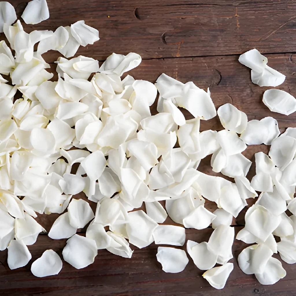 White Rose Petals - alternative 4