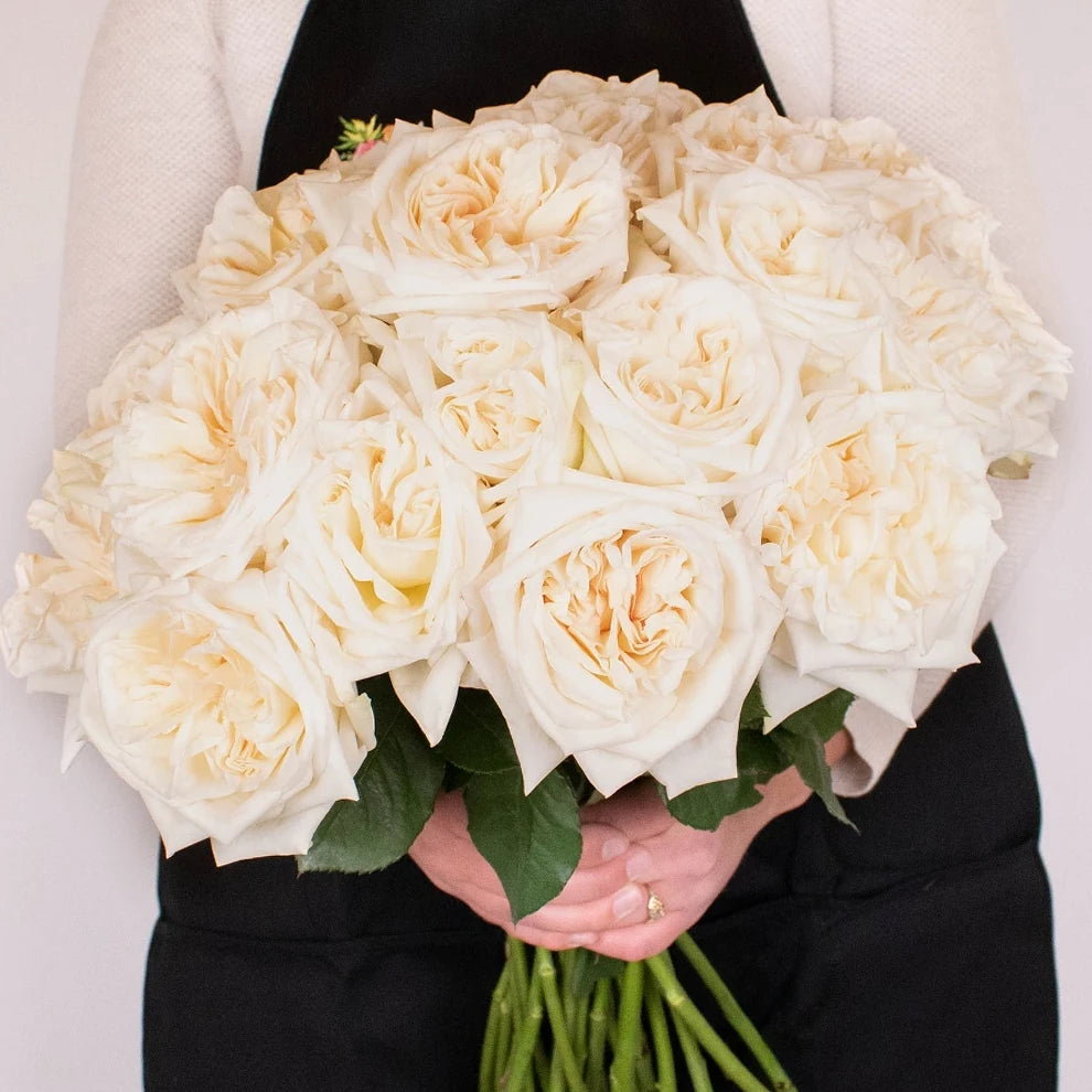 Blush White Ohara Roses Garden - alternative 1