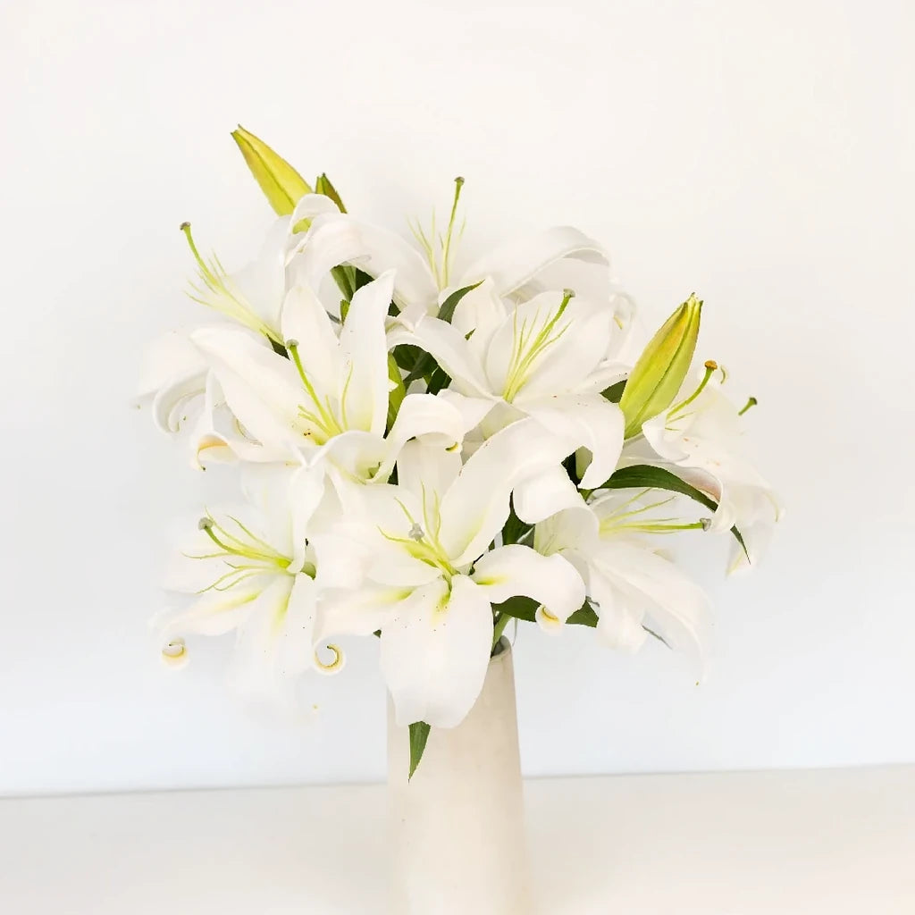 Casa Blanca Lilies Oriental - alternative 2