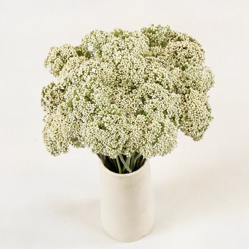 White Rice Flower - alternative 2