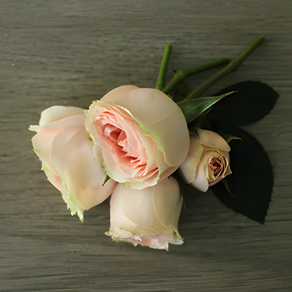 Blush Majolika Roses Spray - alternative 1