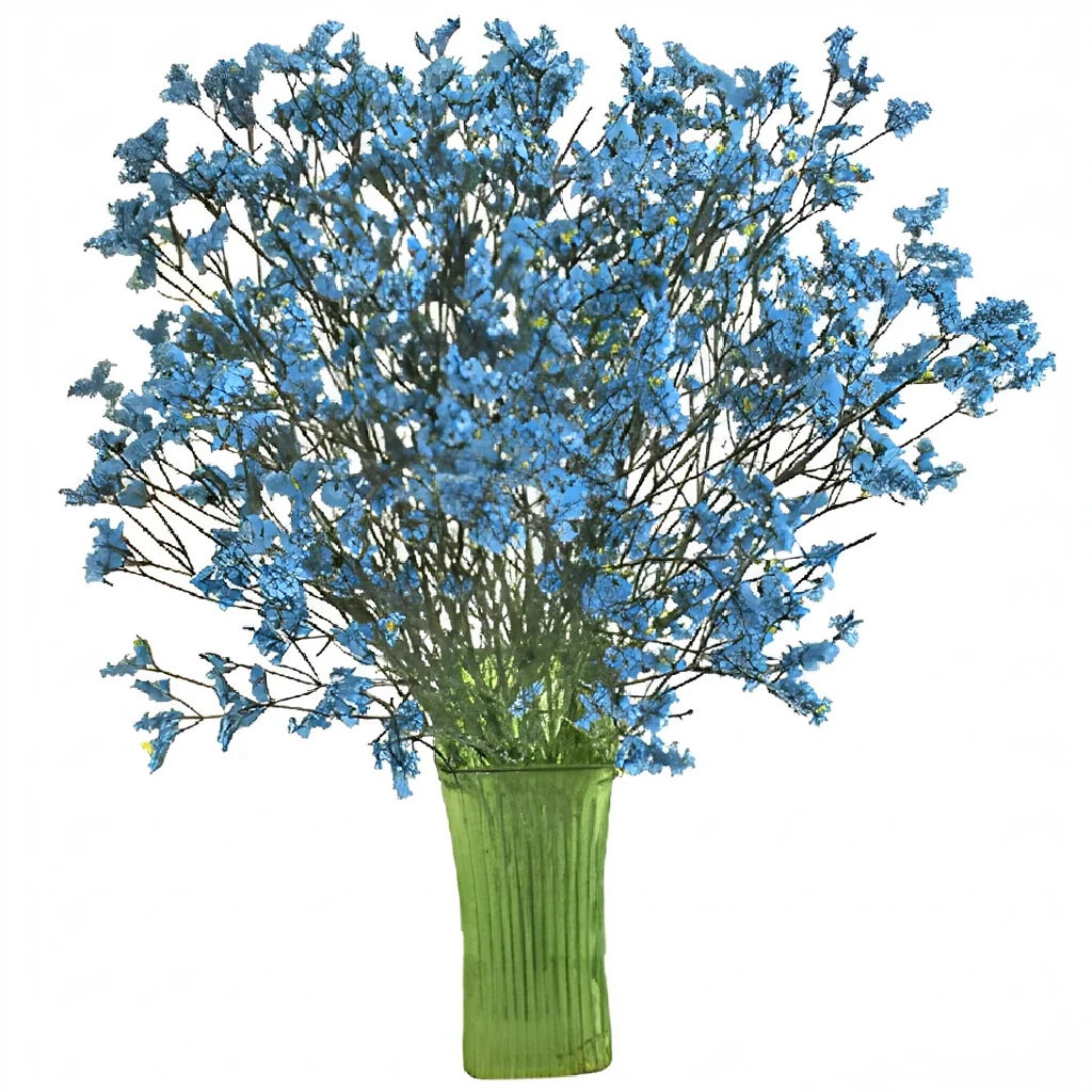 Blue Limonium - alternative 1