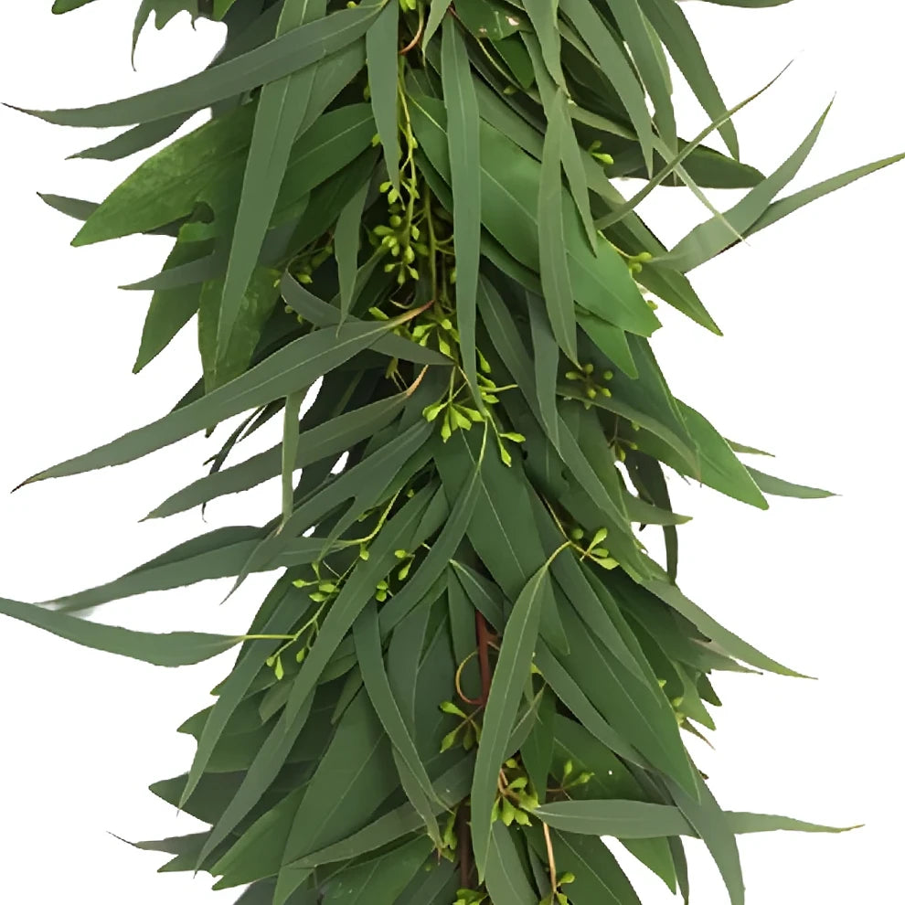 Euc Willow Seeded Garland - alternative 1