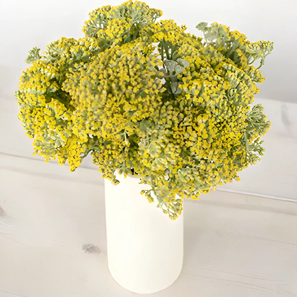 Yellow Yarrow - alternative 1
